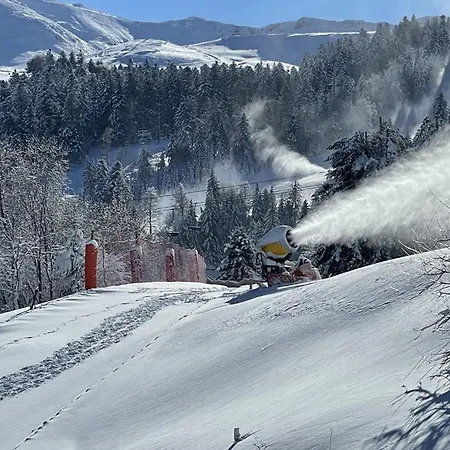 Cosy, Balcon, Parking, Animaux Ok, Proche Pistes - Fr-1-787-17 Lägenhet Laveissière