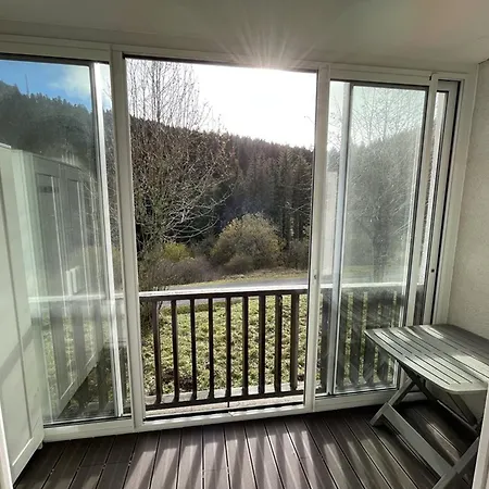 Lägenhet Cosy, Balcon, Parking, Animaux Ok, Proche Pistes - Fr-1-787-17 Laveissière