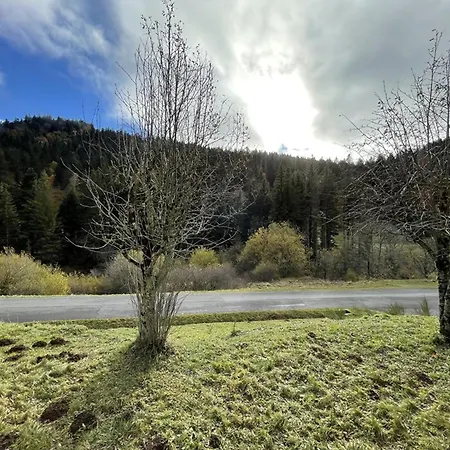 Cosy, Balcon, Parking, Animaux Ok, Proche Pistes - Fr-1-787-17 Lägenhet Laveissière